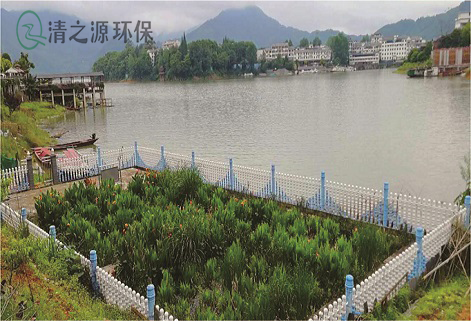 污水處理分為哪些等級，如何根據客戶需求設計處理方案