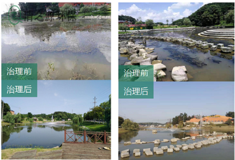農(nóng)村污水處理設備是生物膜法衍生的一種廢水生物處理方法